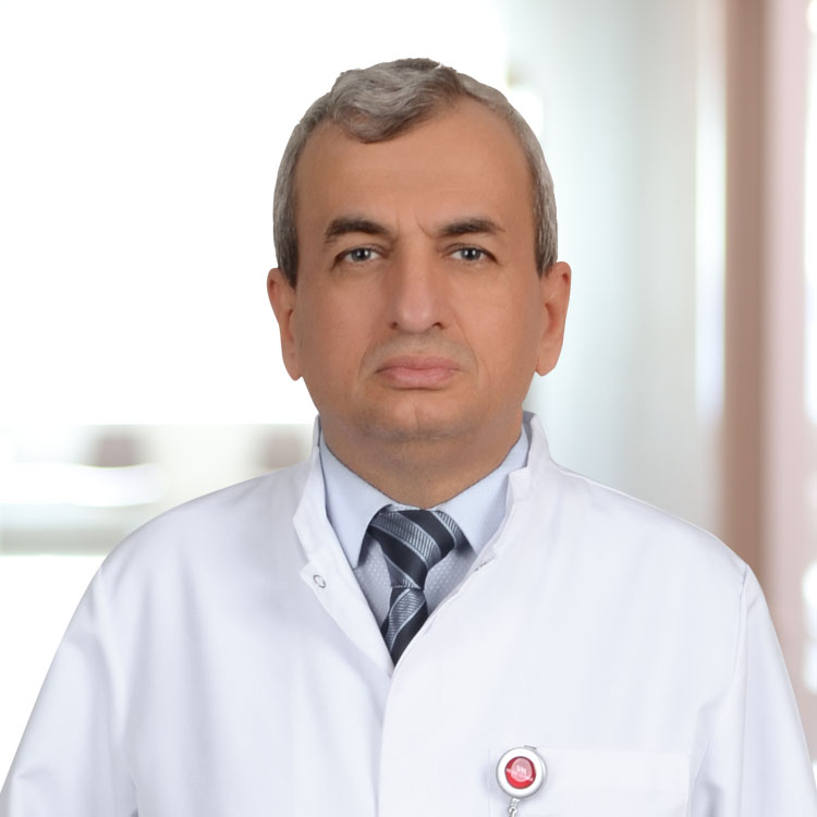 Prof. Dr. Sami Öztürk, Alerji İSTANBUL, PENDİK